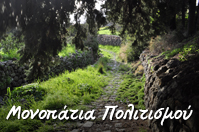 monopatia